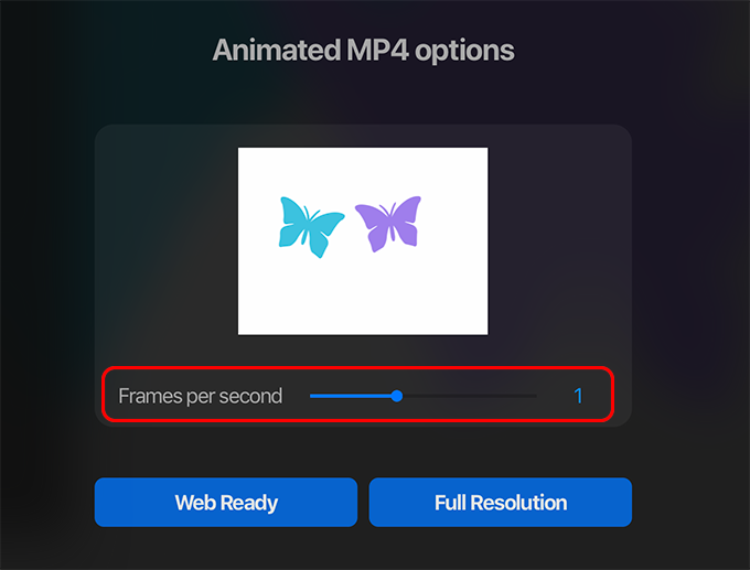Animated MP4 options