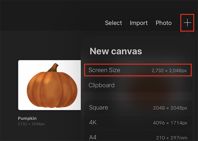 Create a new Screen Size canvas to draw a pumpkin in Procreate