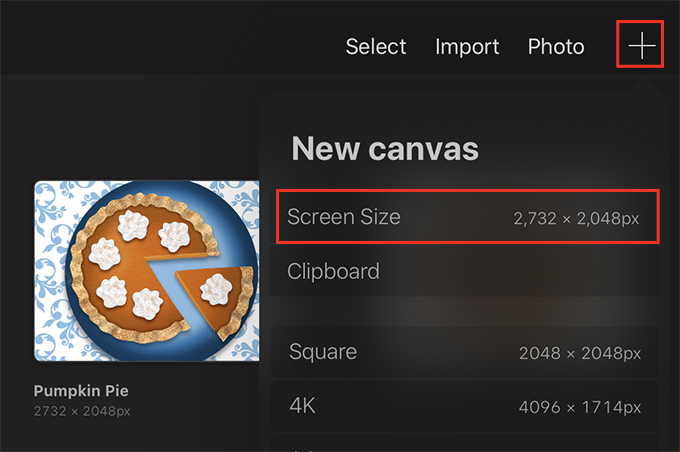 Create a Screen Size canvas to draw the pumpkin pie in Procreate